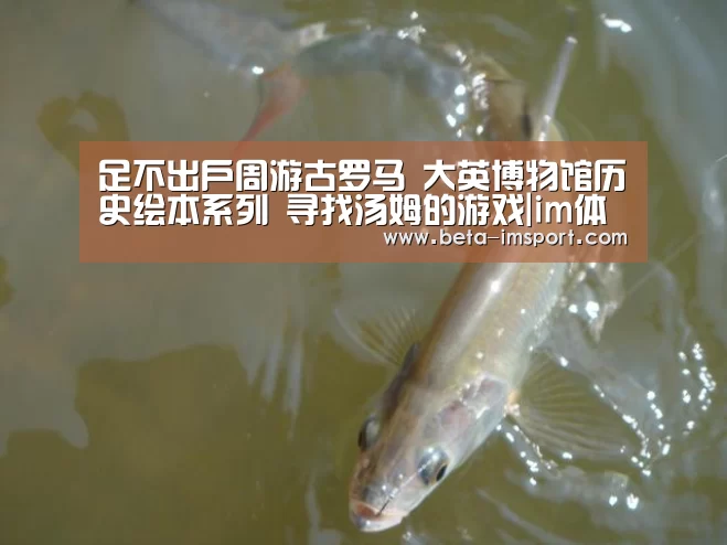 足不出户周游古罗马 大英博物馆历史绘本系列 寻找汤姆的游戏|im体育下载(图1) im体育下载