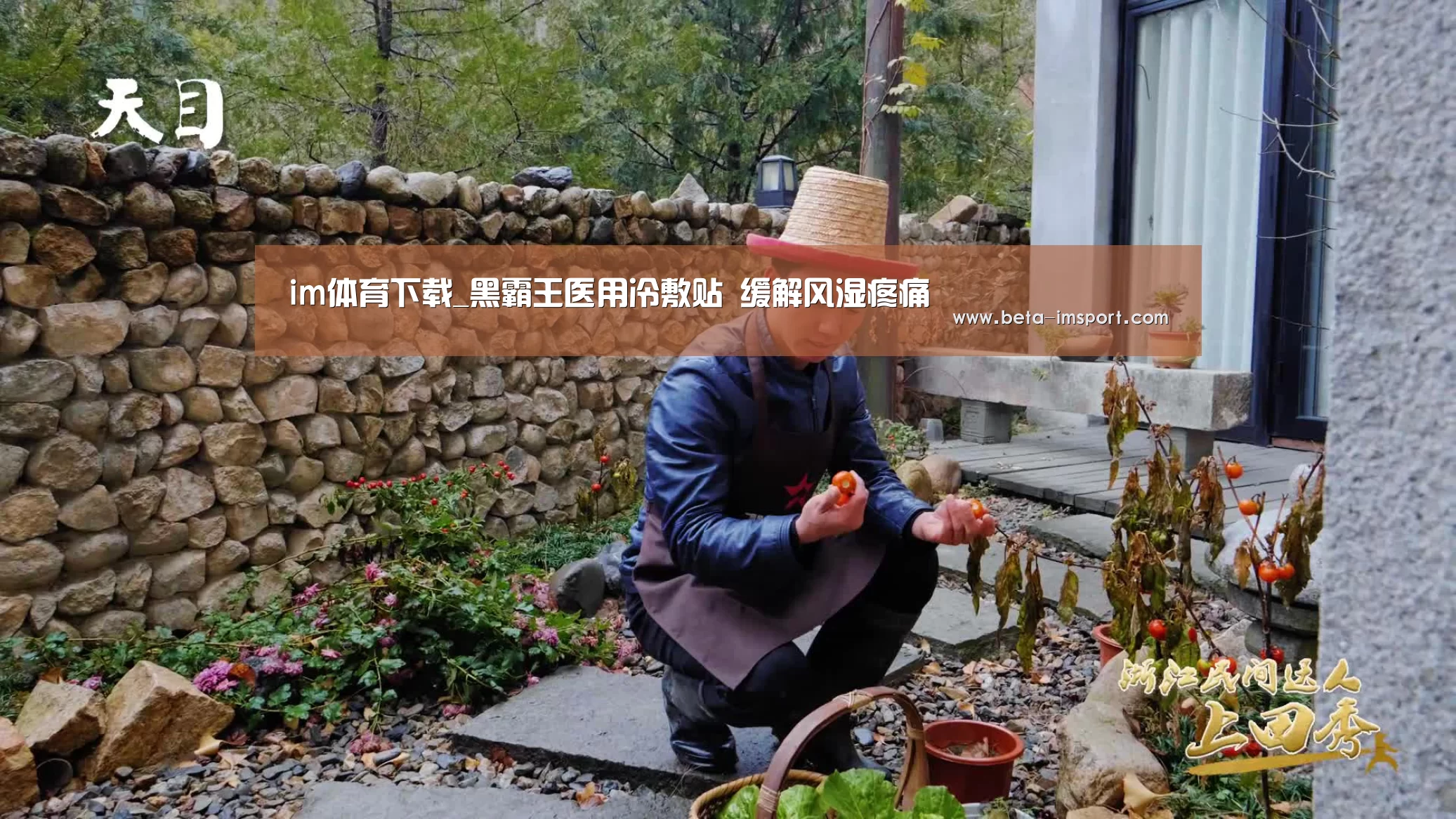 im体育下载