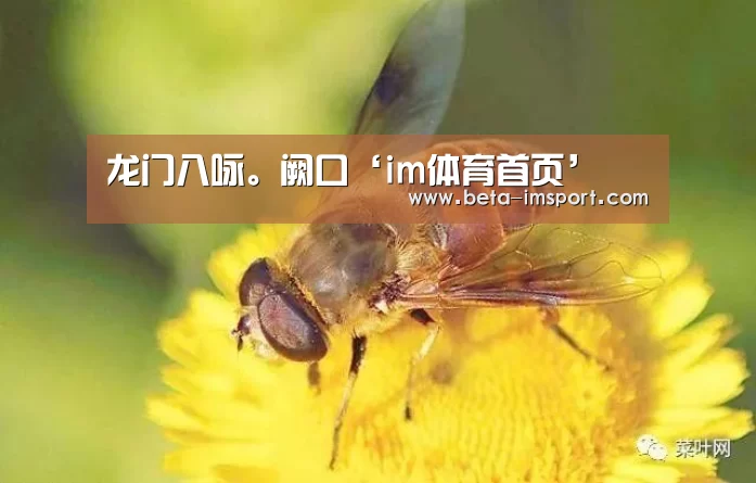 龙门八咏。阙口‘im体育首页’(图1) im体育