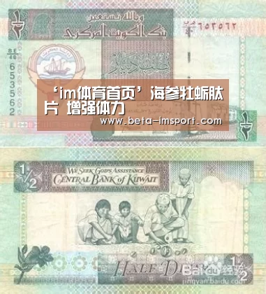 im体育首页