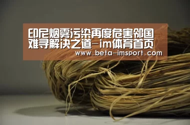 im体育下载