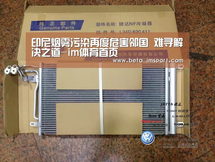 im体育下载