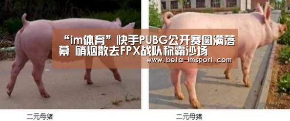 “im体育”快手PUBG公开赛圆满落幕 硝烟散去FPX战队称霸沙场(图1) im体育下载